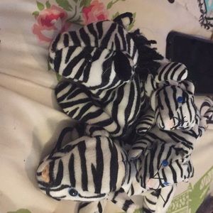 zebras, two Adults and two kids